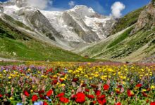 Valley of Flower