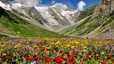 Valley of Flower