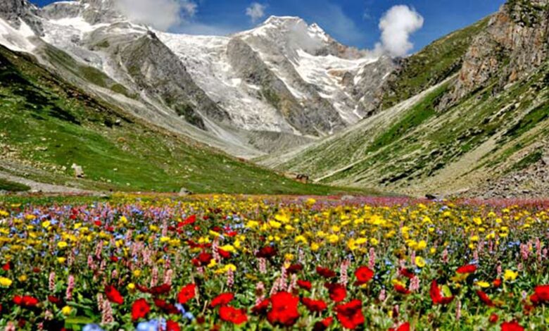 Valley of Flower