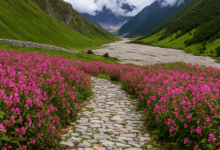 Valley of flower closing date 2026 -31 october