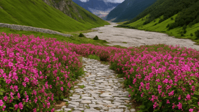 Valley of flower closing date 2026 -31 october