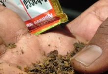 Uttarakhand has banned gutkha, pan masala, and tobacco-containing food products for one year.